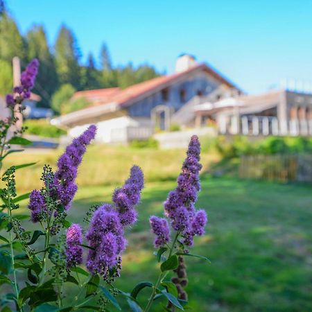 Auberge De La Poulciere Gérardmer Dış mekan fotoğraf