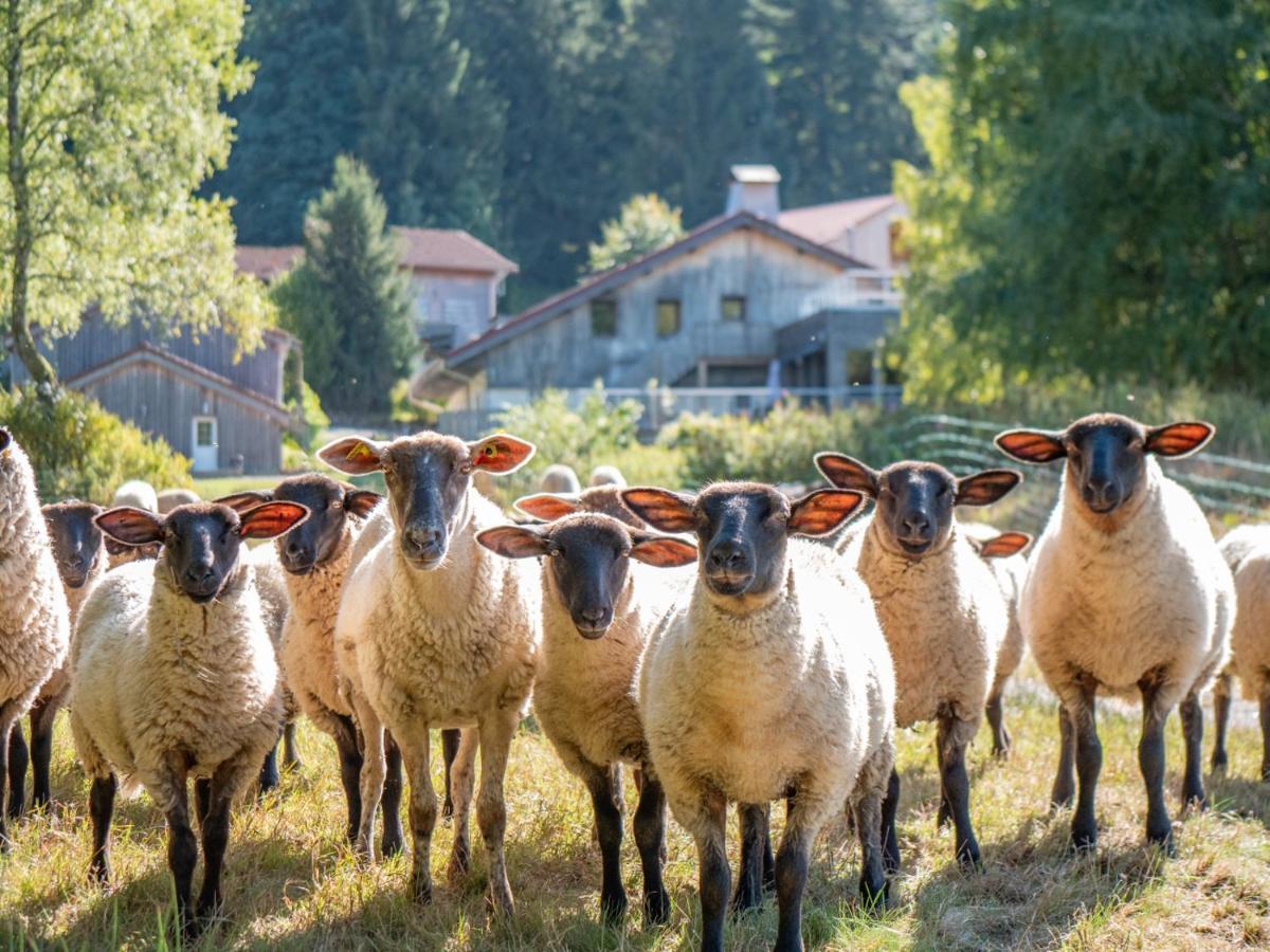Auberge De La Poulciere Gérardmer Dış mekan fotoğraf