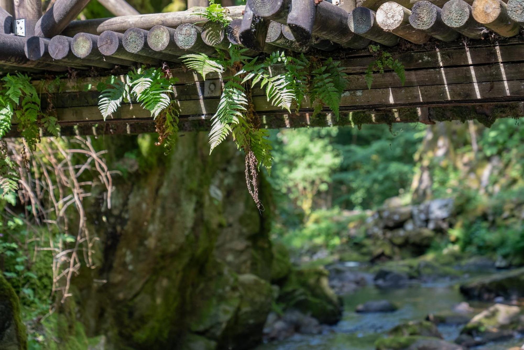 Auberge De La Poulciere Gérardmer Dış mekan fotoğraf