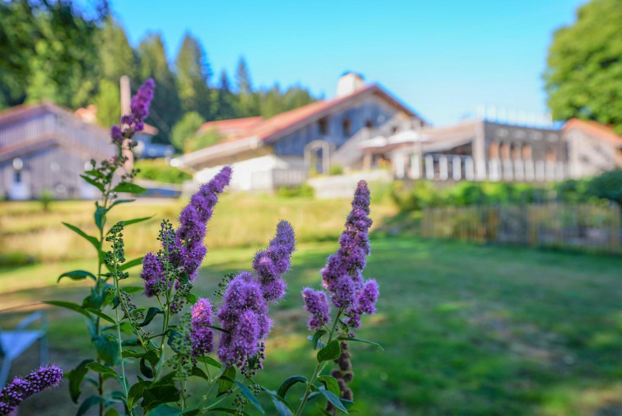 Auberge De La Poulciere Gérardmer Dış mekan fotoğraf